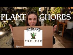 Some plant chores + Planty mail from Treleaf! | Trellis review & thoughts