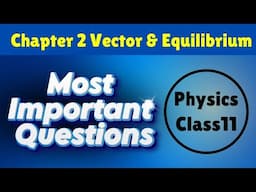 Most Important Questions - Class 11 Physics || Vectors and Equilibrium