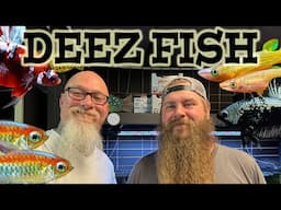 DEEZ FISH: A Tropical Fish Wonderland in Rural Minnesota