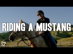 How to Train A Mustang: Halter Basics & First Ride Tips