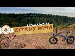 A Ride into Citrus WMA