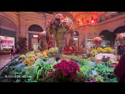 Las Vegas Bellagio Conservatory & Botanical Gardens - No Talking - Las Vegas Strip Free Attraction