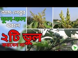 বেশি আম-লেবু পেতে  ২টি ভুল করাই যাবে না। To Get More Mango and Lemon, 2 Mistakes Should NOT be Made