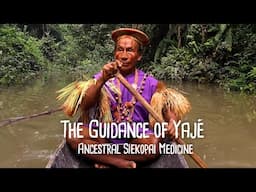 The Guidance of Yaje  - Ancestral Siekopai Medicine Trailer