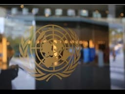 How to start a UN Career: Skills & Mindset Tips from Senior UN Officials (Expert Advice)