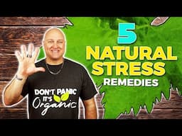 Natural Remedies for Depression and anxiety|Holiday Stress Relief Tips