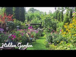 A Tour of My Hidden Urban Garden | Perennial Summer Flowers