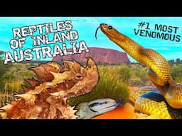 Finding The Worlds Most VENOMOUS Snake & Reptiles Of Inland Australia