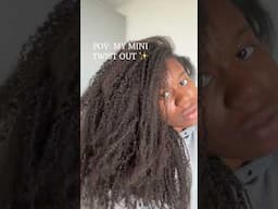 MINI TWIST OUT ON MY TYPE 4 NATURAL HAIR #shorts #minitwists #naturalhair #hairtutorial #type4hair