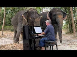 “Cavatina” Makes Elephants Affectionate and Sing