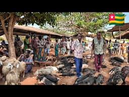 Rural village market day in vogan Togo west Africa. life in my African village.