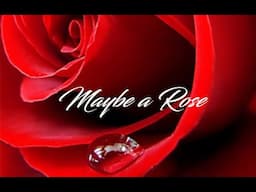 Maybe a Rose