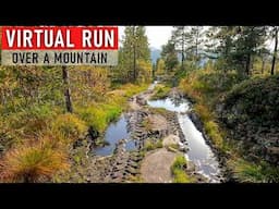 Virtual Run in Stunning Nature Scenery | Treadmill Workout