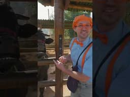 Blippi Feeds a BIG BULL🐂 | #shorts #blippi #vehicles