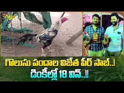 Pandem Punjulu | గొలుసు పందాల విజేత పీర్ సాబ్..!  డింకీల్లో 18 విన్..!! Tone Agri