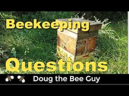 Beekeeping Questions and 10000 Subscriber Giveaway