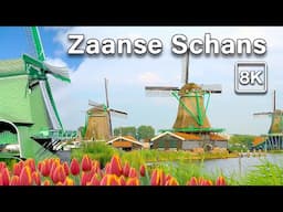 Walk in The Most Beautiful Village in Netherlands with Windmills 8K UHD Zaanse Schans