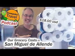 How Expensive is San Miguel de Allende Mexico - Our Grocery Costs