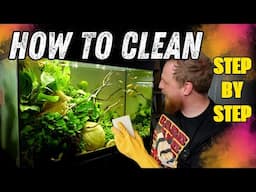 Keep your aquarium CLEAN with this SIMPLE maintenance regime.