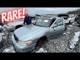 We found a super RARE Lincoln Town Car at the Junkyard! Salvage Yard Shopping!