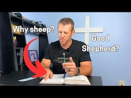 Who is the Good Shepherd?  Jesus is!  Study of John 10