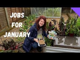 Allotment Jobs For January - Allotment Gardening For Beginners UK