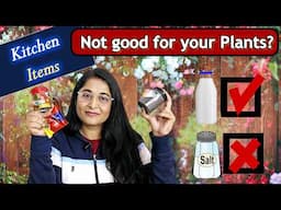 🔴11 KITCHEN Items To Use In GARDENING/ क्या ये kitchen के items वाकई gardening में काम करते है?