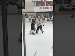 Goalie scrap