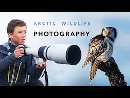 Three Weeks of Wildlife Photography in Arctic Norway