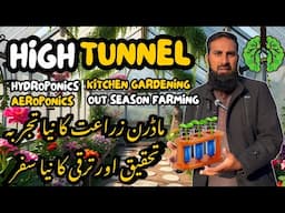 High Tunnel Setup | Kaise Banaya Humne Apna High Tunnel | R&D Purpose | Kitchen Gardening & Farming