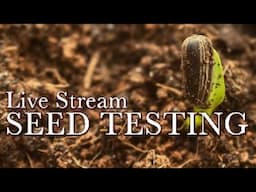 Testing Seeds