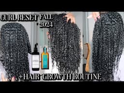 DETAILED CURRENT HAIR GROWTH ROUTINE + CURL RESET 2024 | TIPS & PRODUCT RECOMMENDATIONS