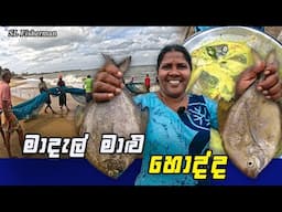 Fish Catch And Cooking In Beach! Making Delicious Seafood Curry From Seine Net Fish