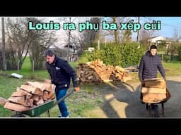 Giá khí đốt ở Pháp tăng, dân Pháp tiết kiệm dùng củi sưởi, Louis phụ ba xếp củi, Mai le cuộc sống