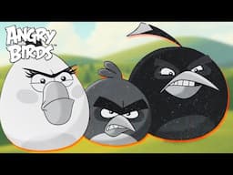 Angry Birds in Black & White | A Classic Showdown