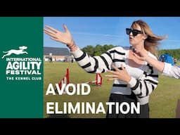 How to judge agility with Ashleigh Butler | The International Agility Festival