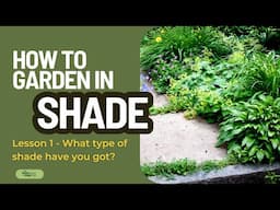 How to garden in shade | DIFFERENT TYPES OF SHADE | Garden Design