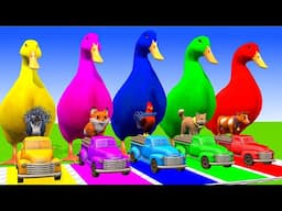 4 Giant Duck Cartoon,Lion,Cow,rabbit,Gorilla,Chicken,Dog,Cat Wild Animals Crossing Fountain 2025