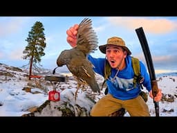 Frozen Mountain Quail Hunting & Wilderness Cooking!!! (Catch & Cook)