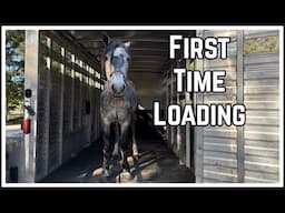 First Time Loading a Mustang  | Salt Wells Creek 2024