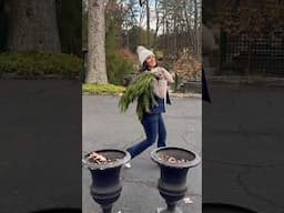 Festive porch planters: evergreens, berries, twigs, & pinecones! Ready for the holidays! 🎄#garden