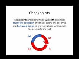 AH Biology 1.5c - Control of the Cell Cycle