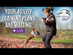 Use Our Weekly Agility Training Plans for The Next Year