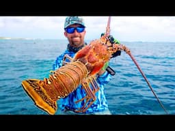 Spear Fishing Monster Lobsters and Hogfish in the Bahamas