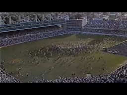 Crazy scenes! The winning moment as New Zealand famously defeated Australia to open the World Cup 92