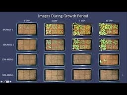 Martian Regolith as a Substrate for Foreign Planetary Horticulture