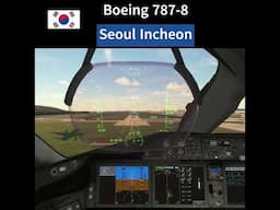 Boeing 787-8 | Aterrizaje en Seúl Incheon (ICN) Corea del Sur