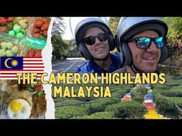 Finding FREEDOM in the CAMERON HIGHLANDS, Malaysia