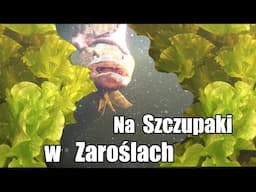 Sposób Na SZCZUPAKI z Łączki | Mała przynęta z Wielką Klasą