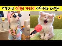 পশুদের মজার কর্মকান্ড ক্যামেরায় ধরা পড়া | Funny Animals Video 2023 (Part-22) | mayajaal